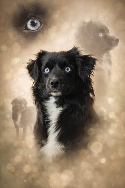 6dfb1dbc-379c-46b0-81d2-5dd6f58d4101-1