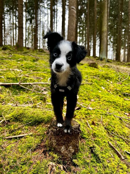 8e16d71a-cc9f-4cf1-bd81-66c363dcee94