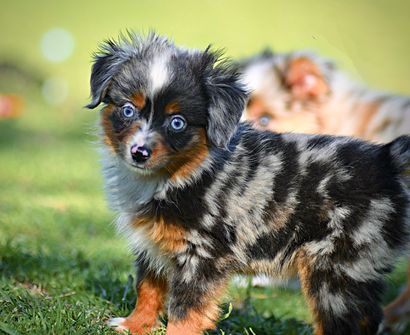 attv86ty1kdybjywpcwudzgrj8fkwcu9yu8nyv8ok0g1cu-copy