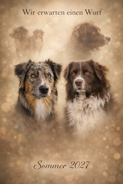 d9550660-2af9-4416-a190-ce35e41a42fd